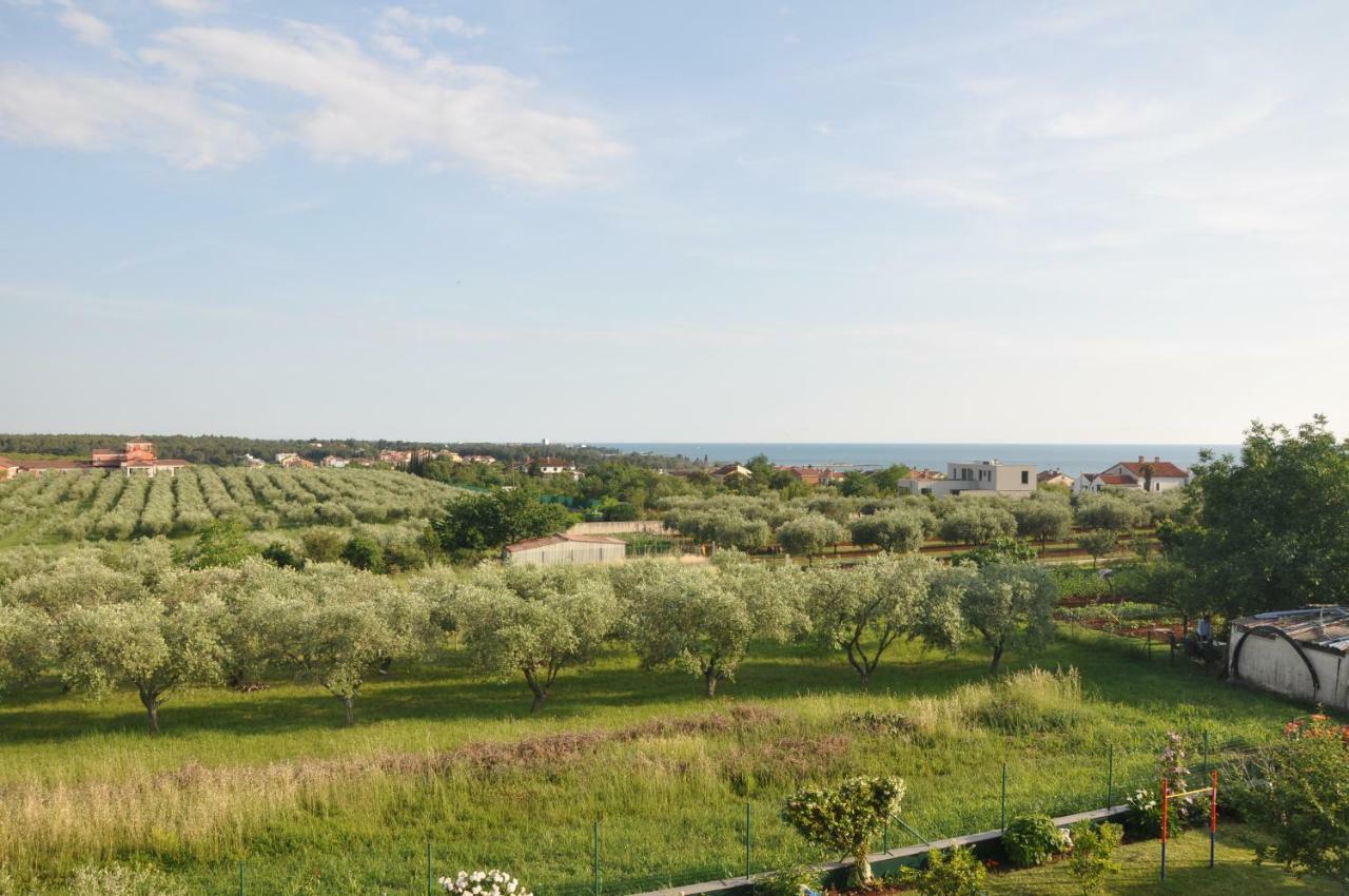 Apartments Rosa Umag Eksteriør billede