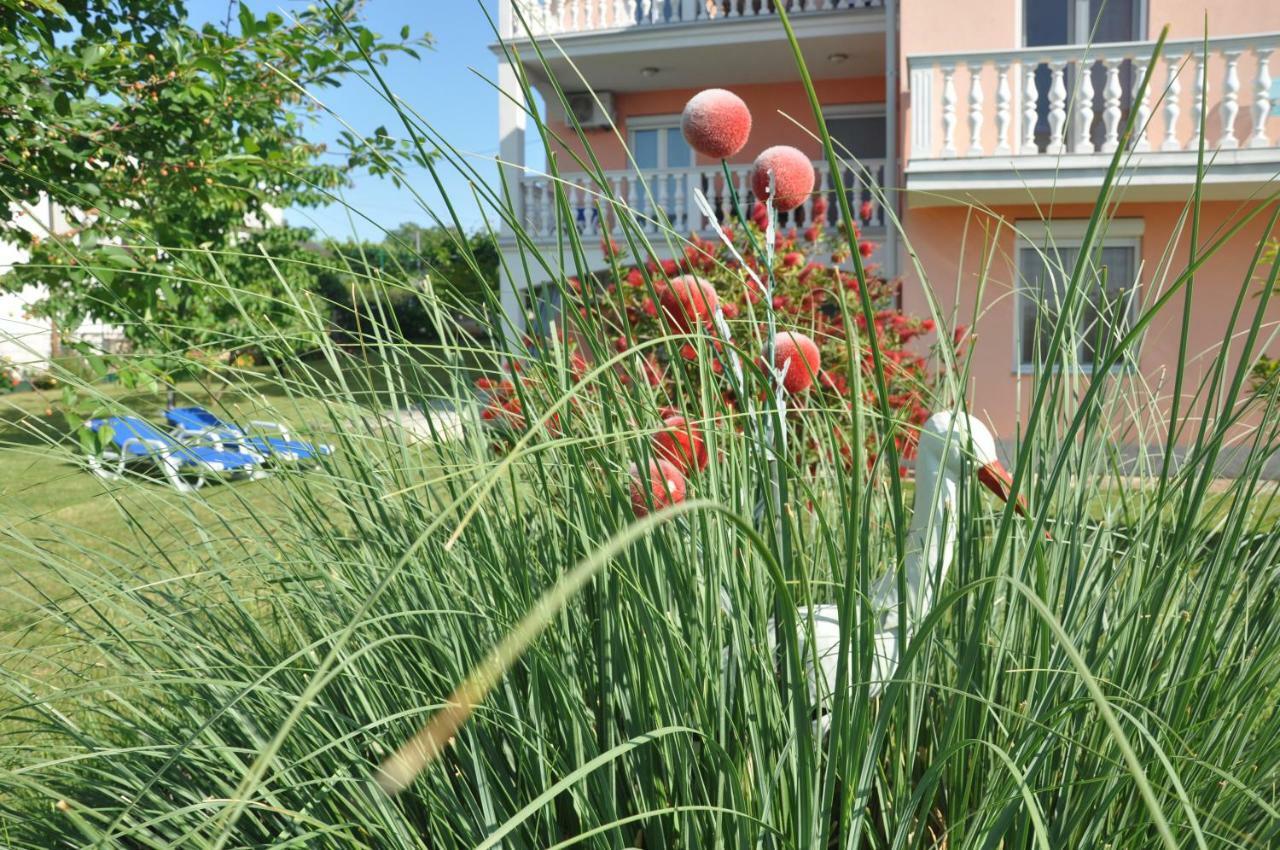 Apartments Rosa Umag Eksteriør billede